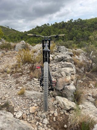 Bicicleta Descenso Freeride
