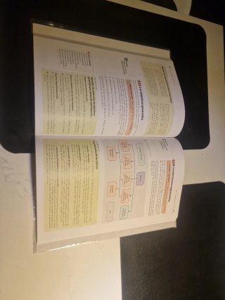 Didáctica de la educación infantil