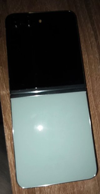 Samsung Galaxy Z Flip 5 Negro/Verde