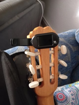 Afinador TGI TG81 clip-on