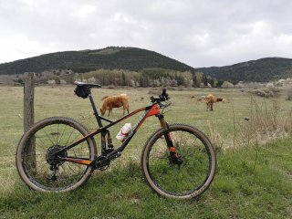 Bicicleta BTT Megamo Track Elite 05
