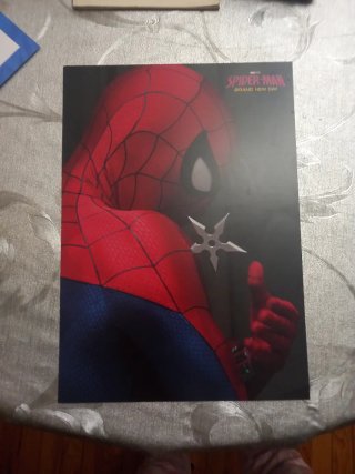 Póster Spiderman Brand New Day Oficial