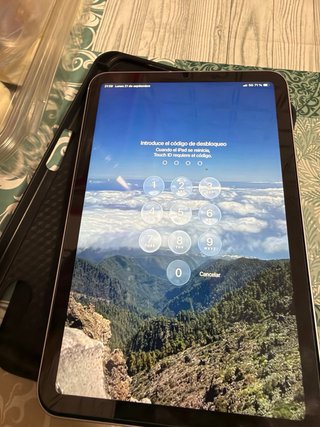 Apple iPad mini Argento