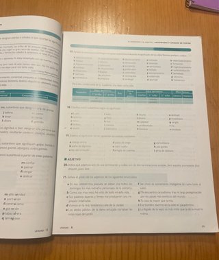 Lengua castellana y literatura 1, Le Bachillerato
