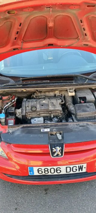 Peugeot 307
