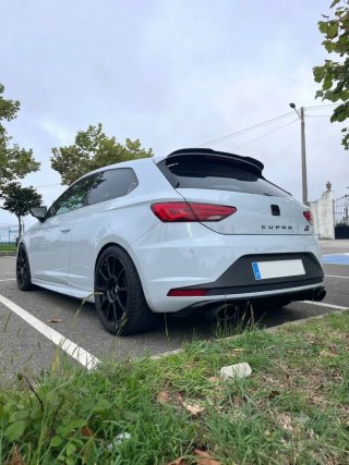 Seat Leon Cupra 290 SC DSG