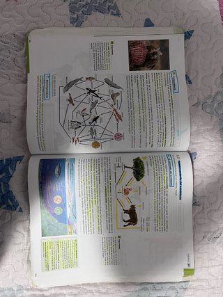 Biología, Geología y Ciencias Ambientales 1.º B...