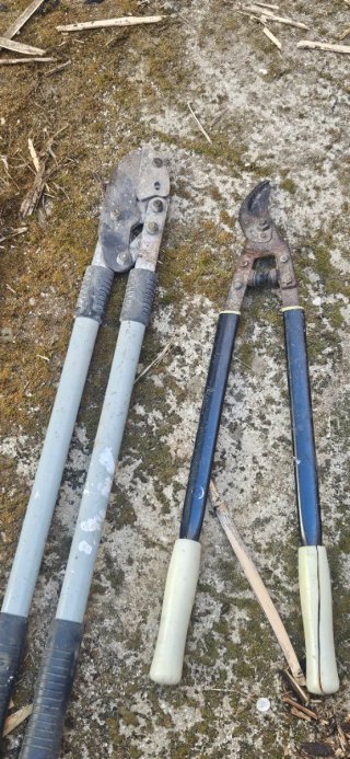 Tijeras de podar y serrucho