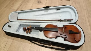 Viola 13 con arco y funda