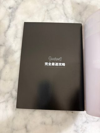 Guide Galerians PS1 JP