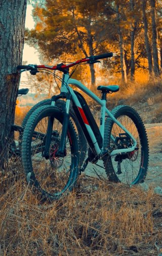 Bici eléctrica mtb Magura y Shimano XT