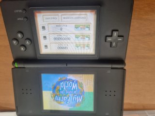 My Farm Around the World - Nintendo DS