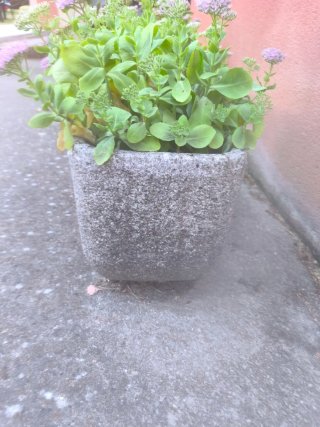 Jardinera de piedra gris