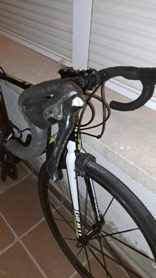 Bicicleta de Carretera Giant TCR Advanced 1