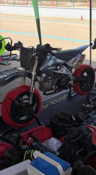 Pit Bike Rebel Master Pole 6 Gris/Rojo
