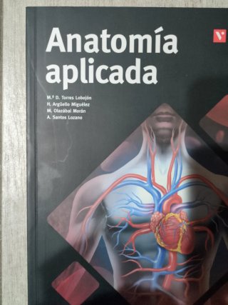 Anatomía