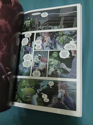 Teenage Mutant Ninja Turtles: El último ronin
