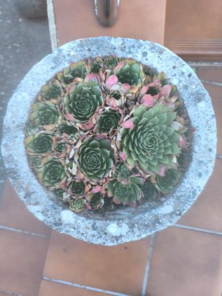 Jardinera de piedra con peana 2 unidades