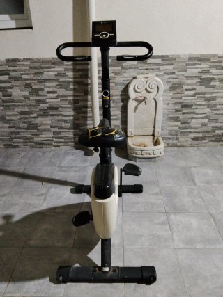 Bicicleta Estática Domyos