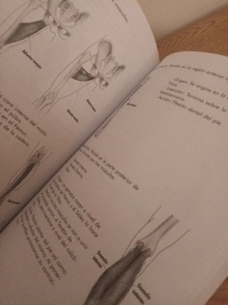 Libro de apuntes de anatomia