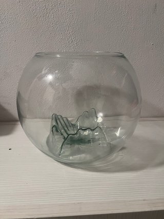 Pecera de cristal con diseño interior