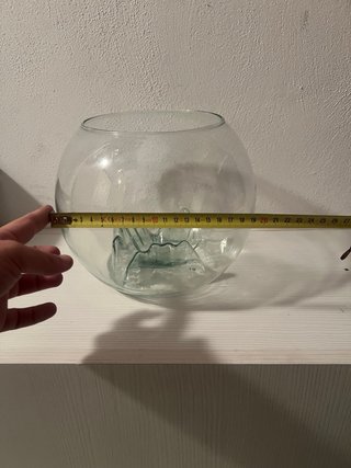 Pecera de cristal con diseño interior