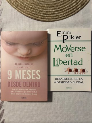 Lote 2 libros