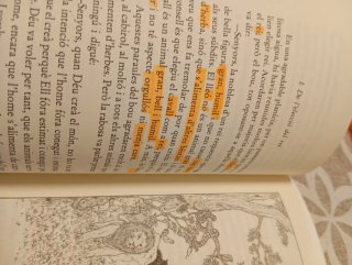 Llibre de les bèsties