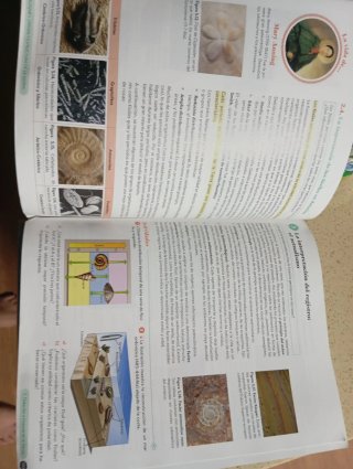 Biología, Geología y CC. Ambientales 1º Bachill...