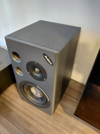 2 altavoces Alesis Pasivo 8ohm