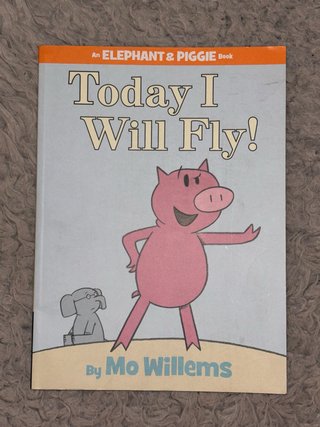 Libro infantil - Today I Will Fly!