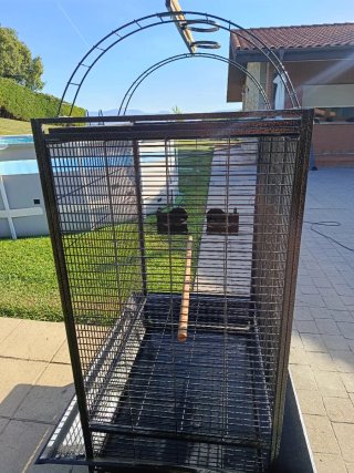 Jaula Loro Grande Negra