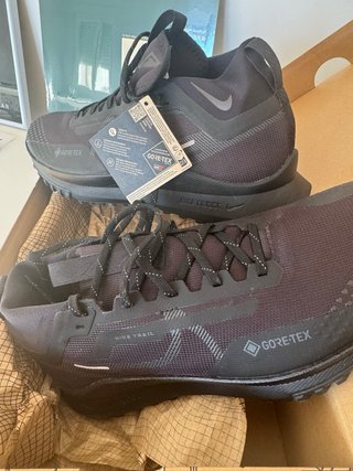 Zapatillas Nike Pegasus Trail Gore-Tex