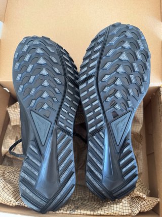 Zapatillas Nike Pegasus Trail Gore-Tex