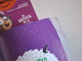 Lote 21 libros Escuela de Monstruos. Sally Rippin