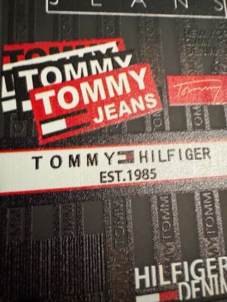 Funda Tommy Hilfiger para iPhone 16