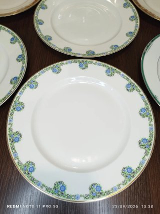 LIMOGES 7 platos llanos vintage porcelana