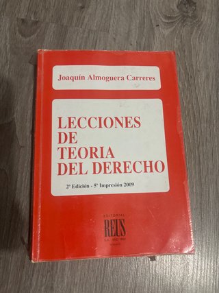 Lecciones de teoría del derecho