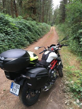 Benelli TNT300 - 302S Naked Moto 2019