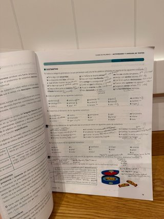 Lengua castellana y Literatura 1 Bachillerato