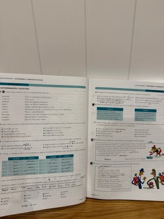 Lengua castellana y Literatura 1 Bachillerato