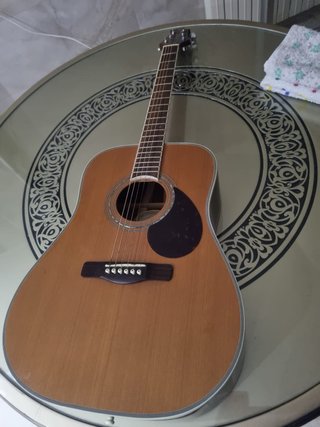Guitarra Greg Bennett Diseño