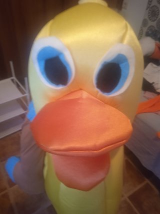 Disfraz de Jinete sobre Patito de Goma