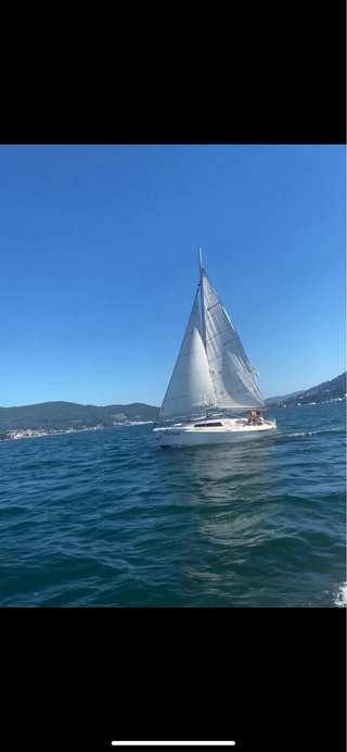 Velero Polikea Stream 550