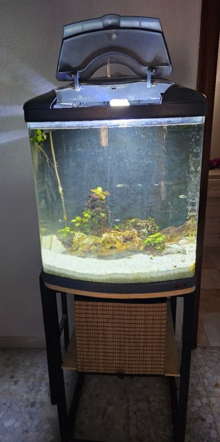 ACUARIO 130L CON MUEBLE