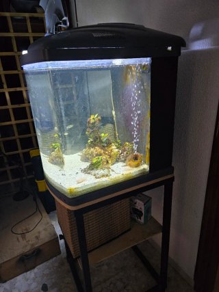 ACUARIO 130L CON MUEBLE