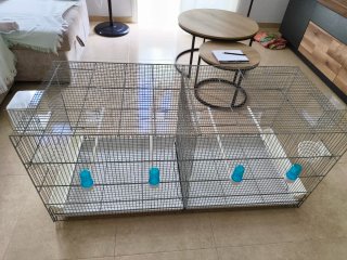 JAULA PARA PÁJAROS EN VENTA – 50 €