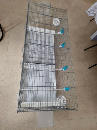 JAULA PARA PÁJAROS EN VENTA – 50 €