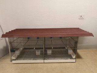JAULA PARA PÁJAROS EN VENTA – 50 €