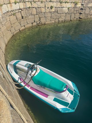 Moto acuática Yamaha Wave Raider
